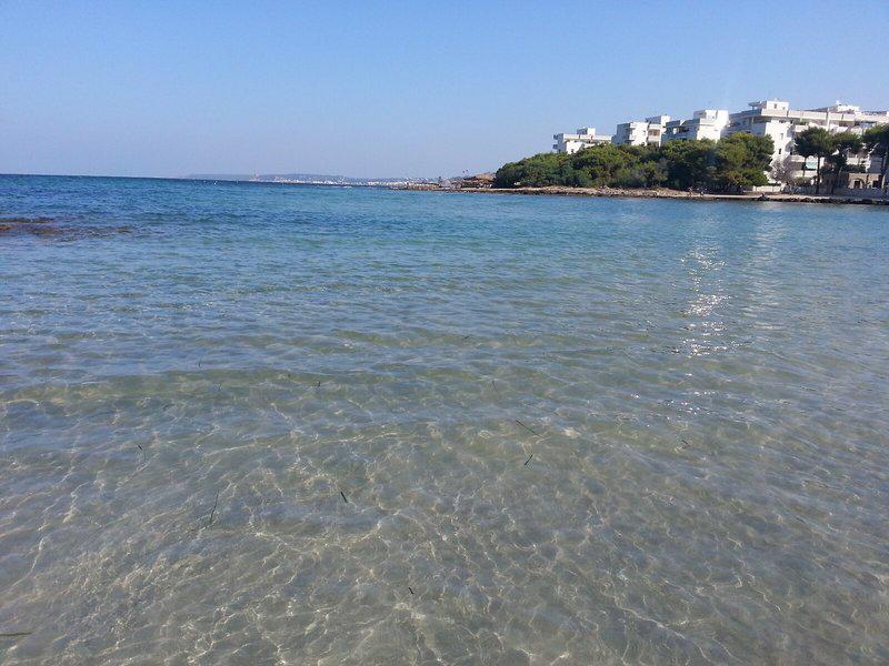 B78BAEADC5844ADECDBEE39B804BA6AF