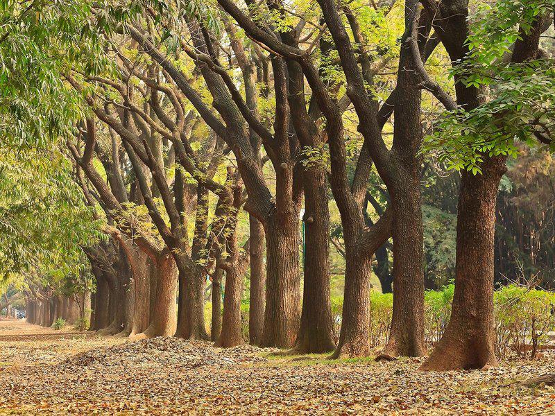 897D83C860A141B156B88FD1175E5C5C