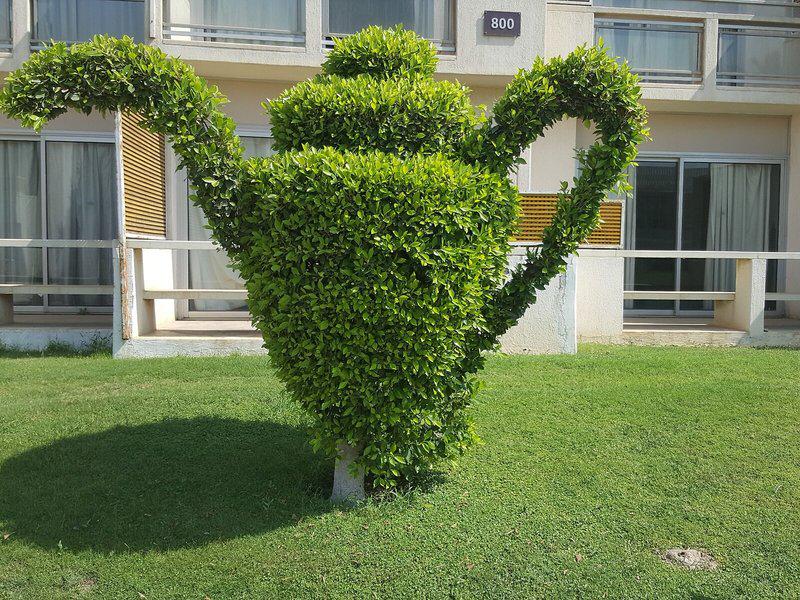 9F27DC114C5CD41CFCF4EFDEBB3671A3