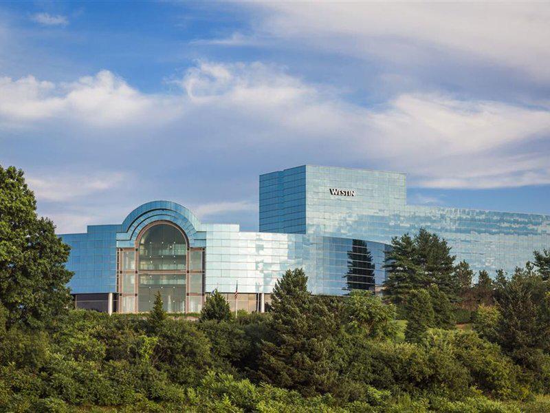 E7B603B7BABE8655CB3F44FB6B977D59