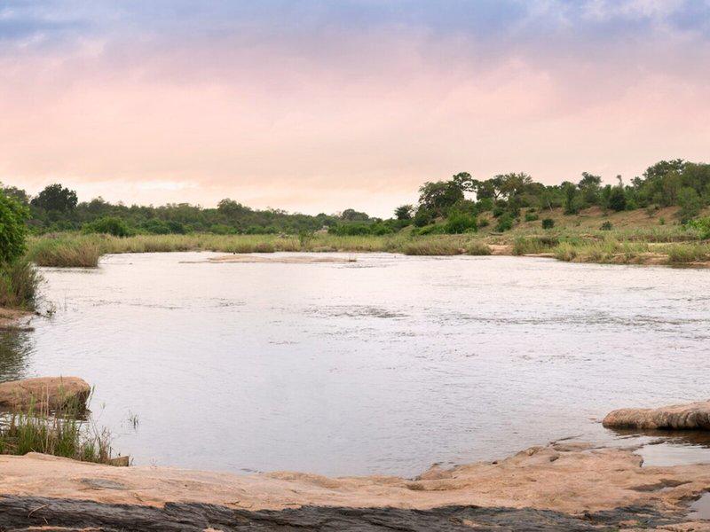 010A1B42666AEE666C734E4CB3E3FA6C