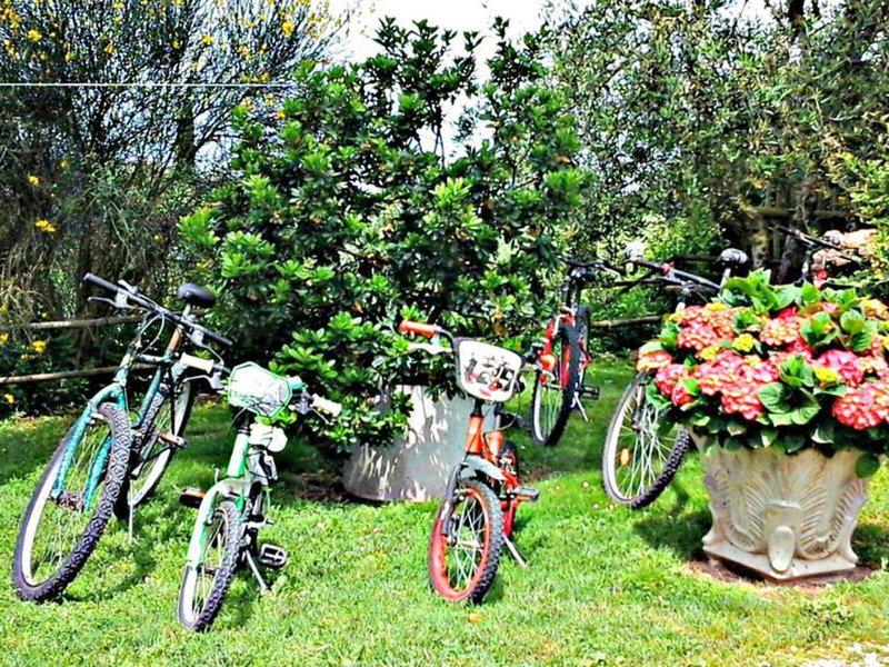 AFD823C38E3795072F93CA96839522A8