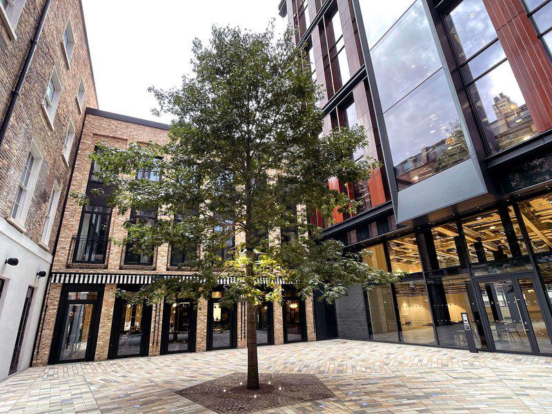 5C1C9F2128AC24A04C1944B58D592C65