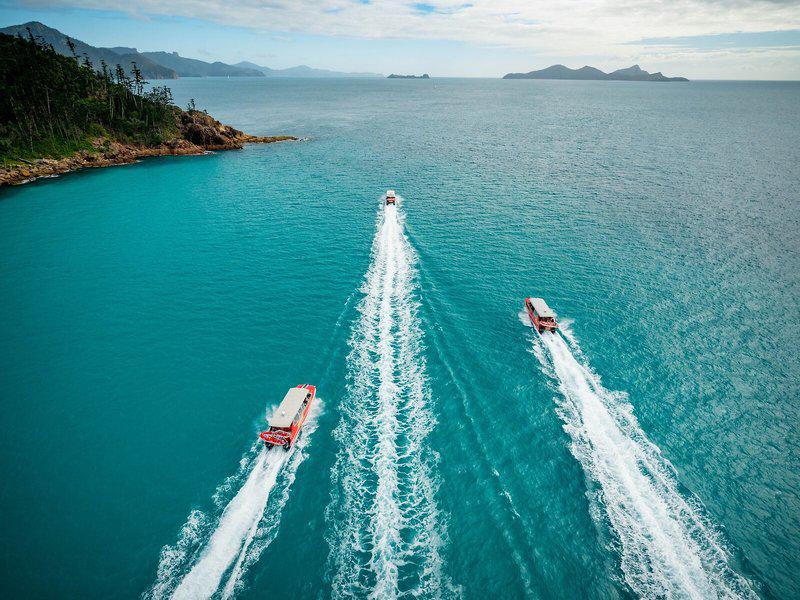 0C501E3384EFE0B8046F51DF86F9A8E5