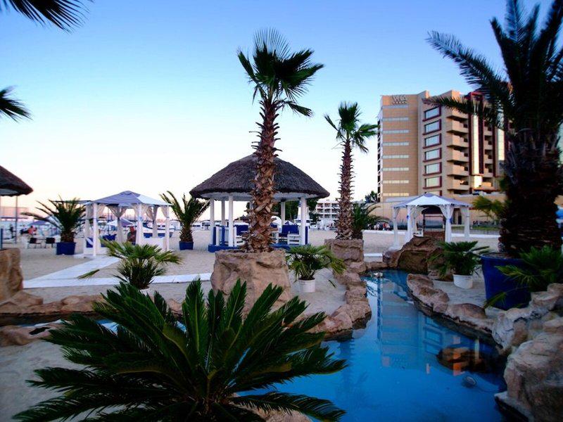 3394FC971CC6AC53CF426558561DD229