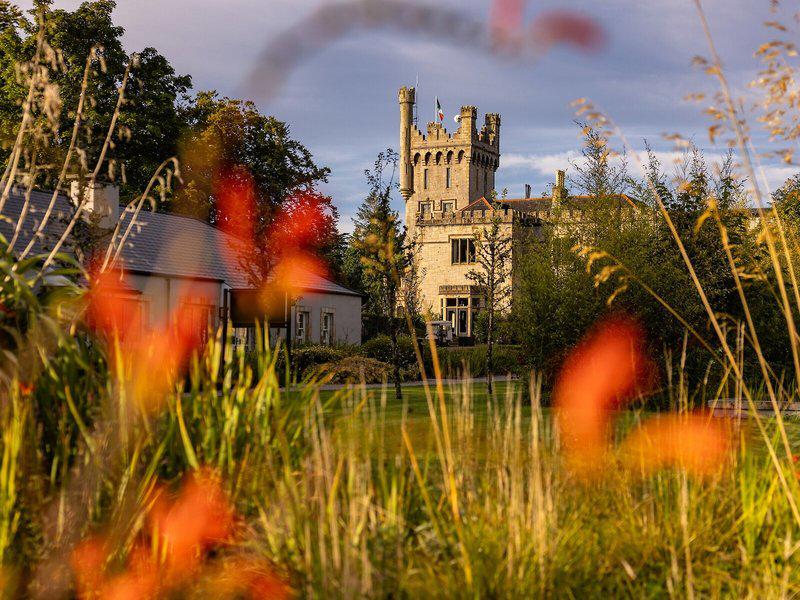 23329A0CA06D3DA81A9D1E6AEF302013