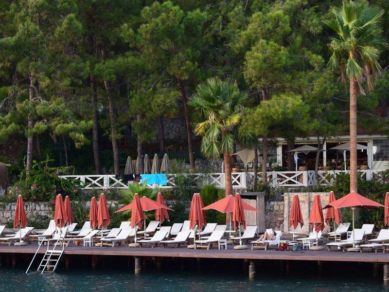 EBC98446BA70F62E3FD6262572724B55