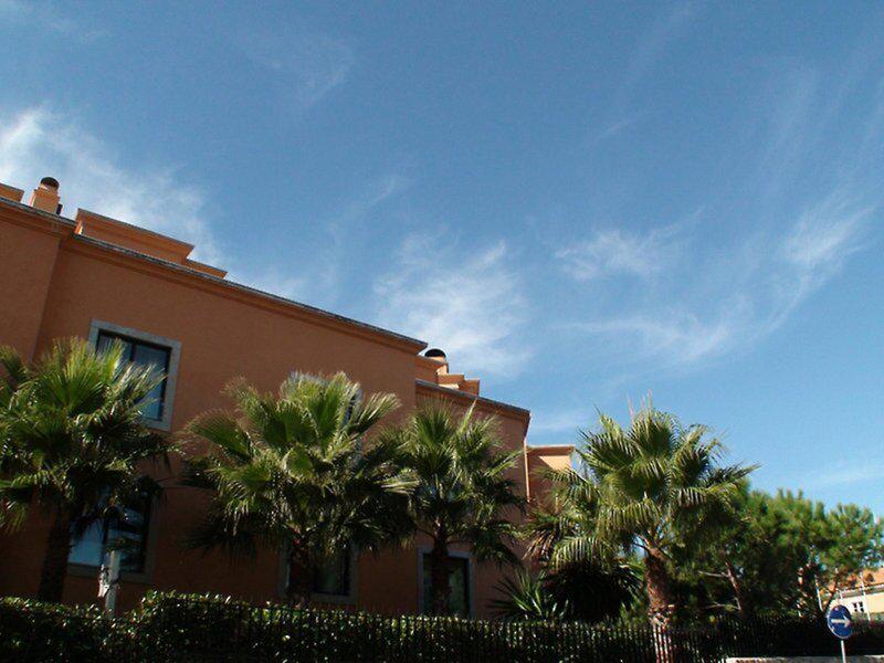 5426E87BB2544BD5AE08F89D7D32A36A