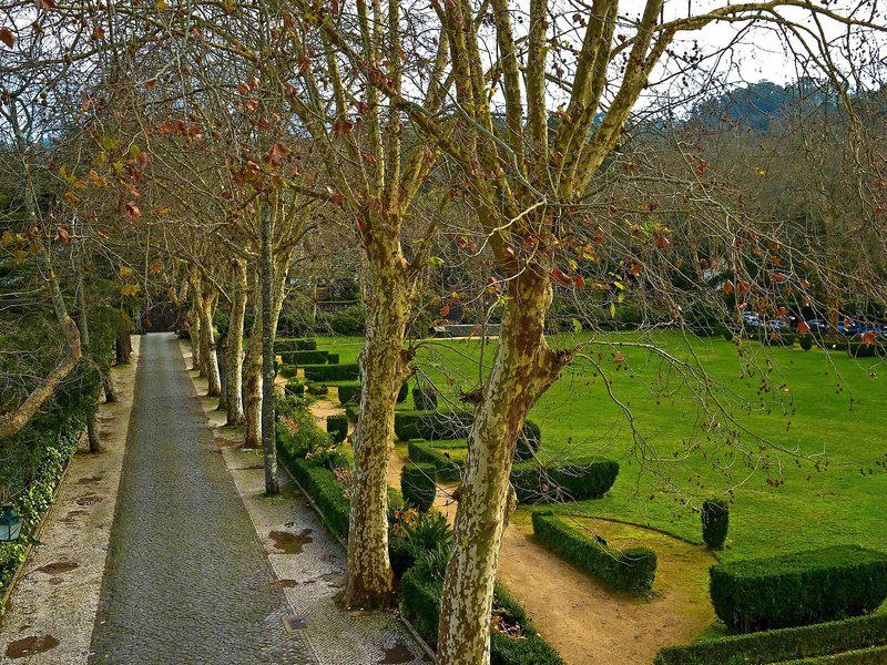 D886F7E472BC25DCED2E63F38139F134