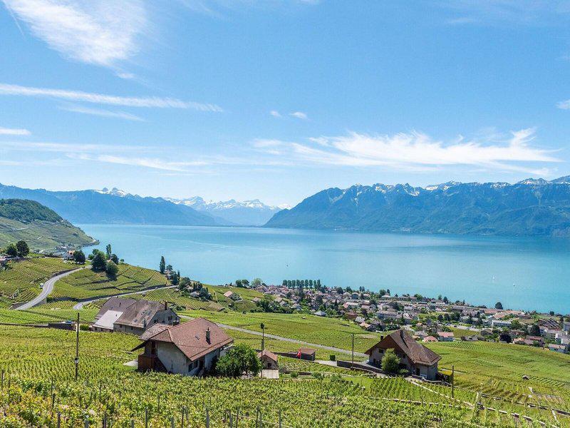 B89A225D321E100EFE6C0F1E92B7E0DF