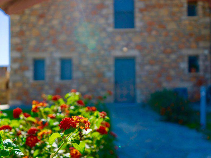 F6F5E02E0DA96E0403A3DE3F1E1266AD