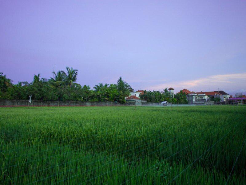 CB2C6DC5BCBA4D2C71F1B440B6BA4542