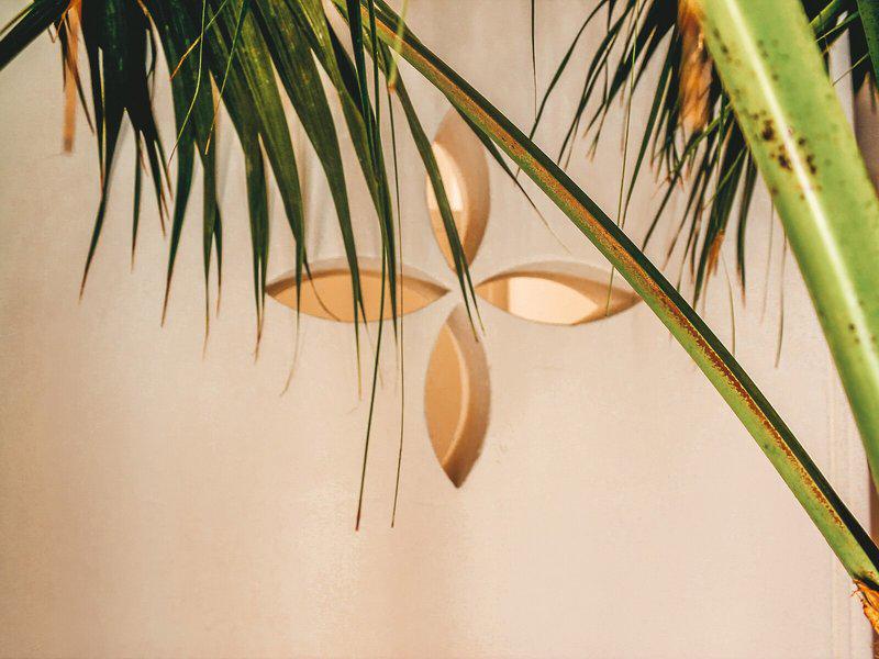 D09F506578F6BCB04848C1AC8C3BCAA7