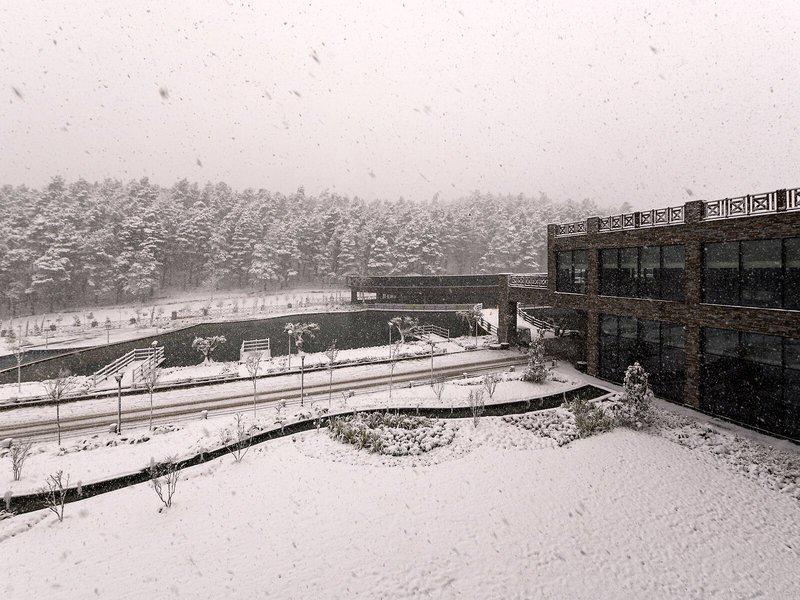 A4393B14D19AE8E2BCBB52AB094324B6