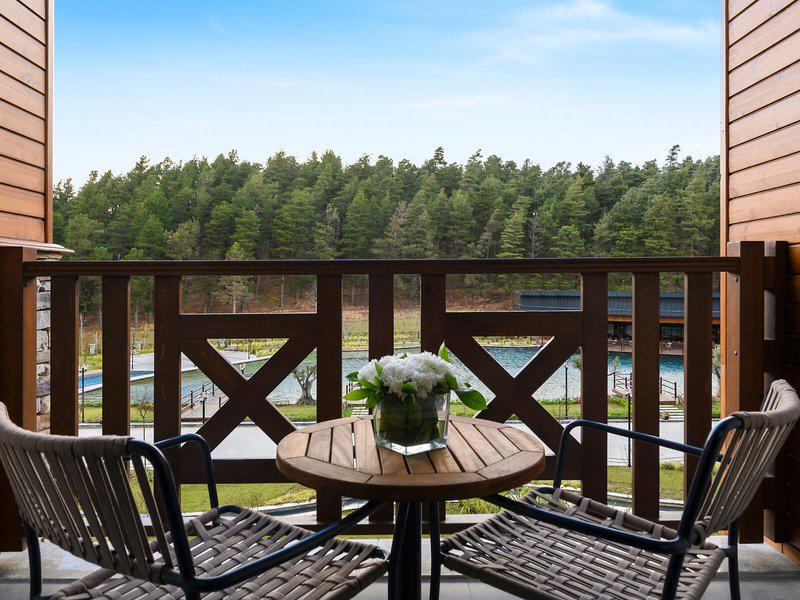 09CC58C9FE0FB96009184EBD80BE5667