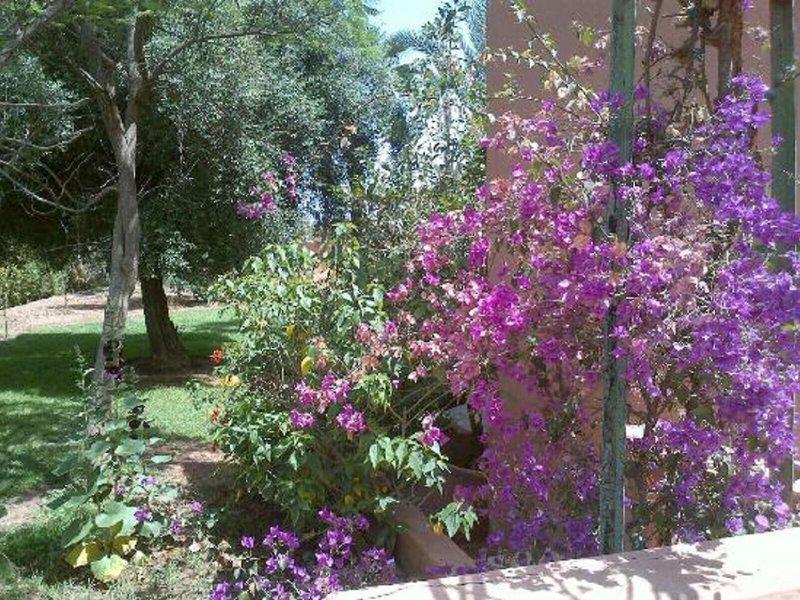 5AE7D5BAE9995AAC24896B93FF22D21C