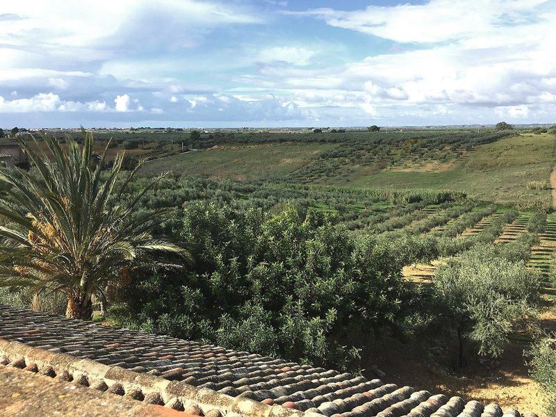 1466DC2EF61E3E0E540CA0067C00AEA6