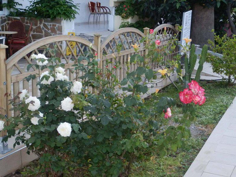 75785565C04D827381D2DD0BD58A0F4B