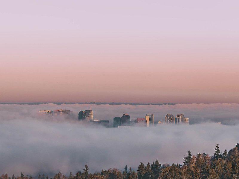 EF925F79F5CD368CD2FBD537ADEE93F3