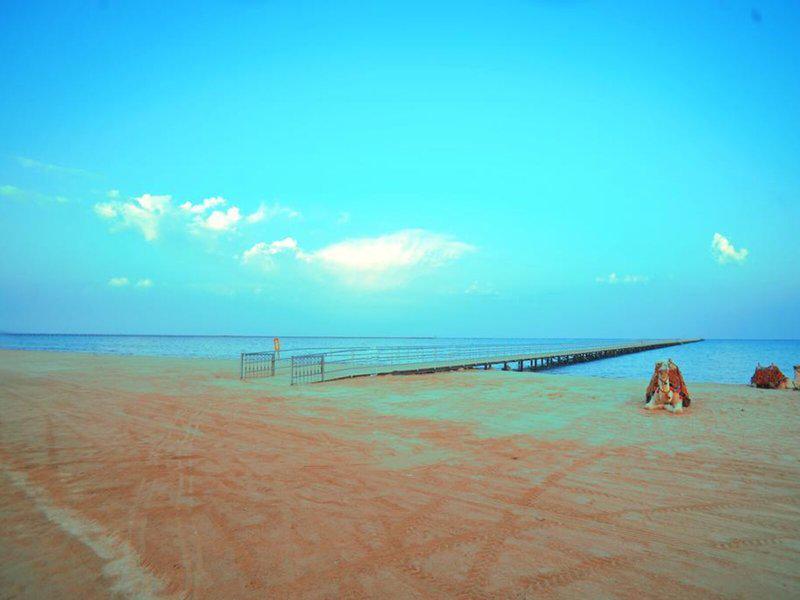 508D5F9B0C046099FD10E8CE9B28DFC3