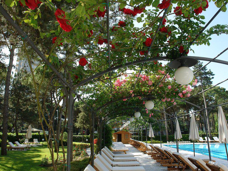 2A448050FD7B54D9C02816A8C7626169