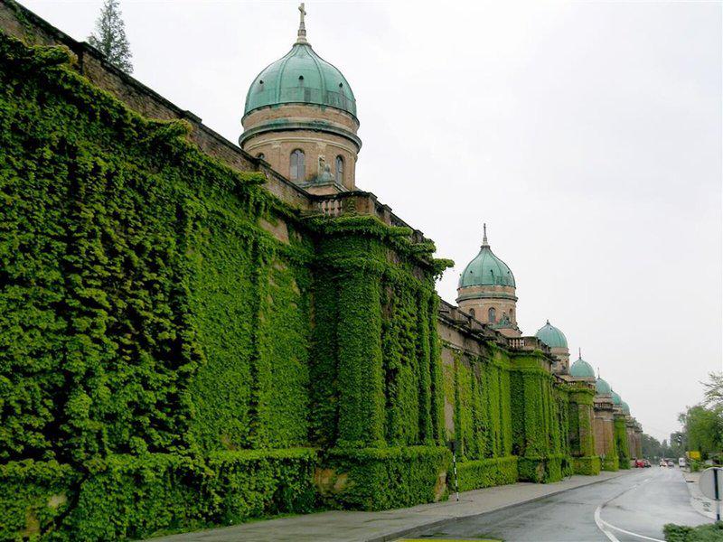 B38AB9447EDEB3CCA01D215FA45DCF3D