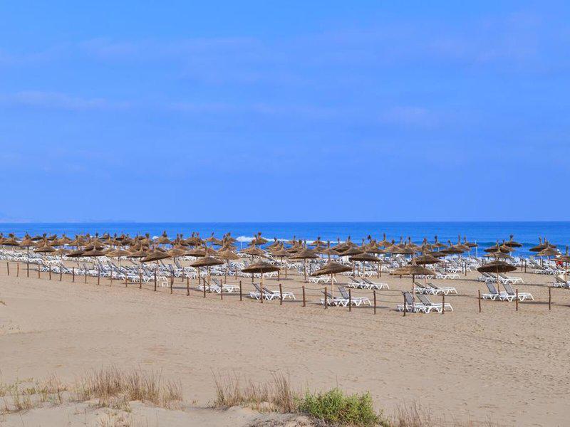 E850372AE6981A81079BBEA4743B7E82