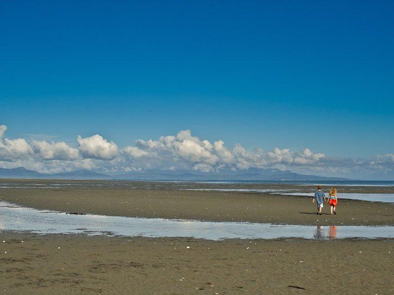 D7CE3494734A8DDAEF360A1BCF604DDA