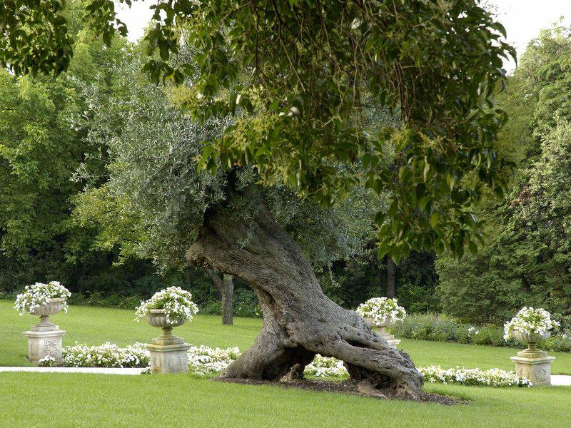 7B80E2886926F299CD78B99EF1F17EBA