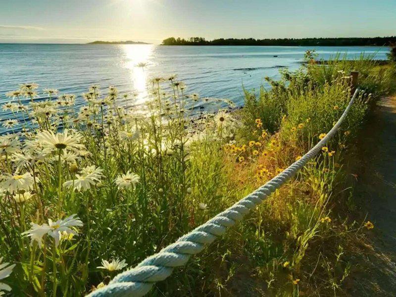 8AE9A84A1FE175FA686922F29B2B6D6B