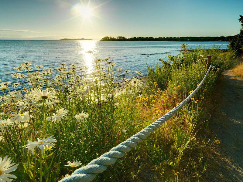 09480FE92B9C17A71A901B6E41CF166C