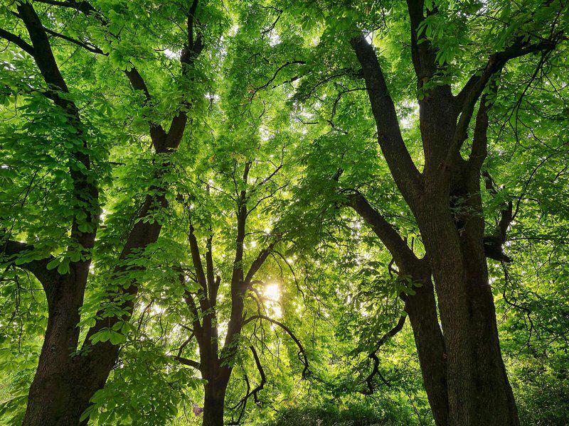 8FB53DC12BE99AED8CF68A51CBFD22D5