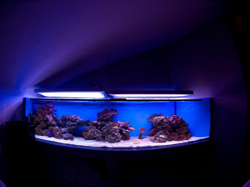 6EF17E5D8C08449FBC1F14C280955119