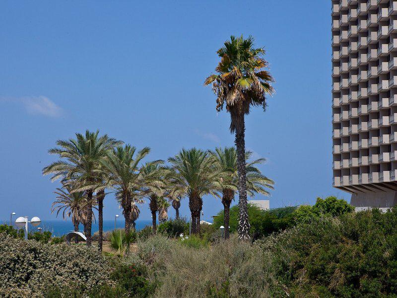 B290DCF2415F9C393EECF0EE3CFF59E3