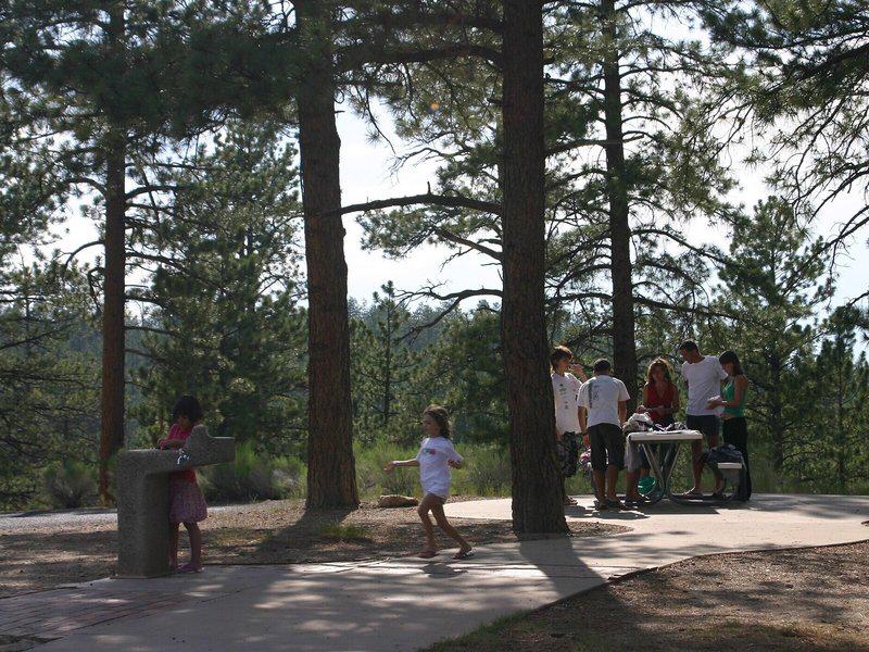 1150B5232399B98A09EA761806654169