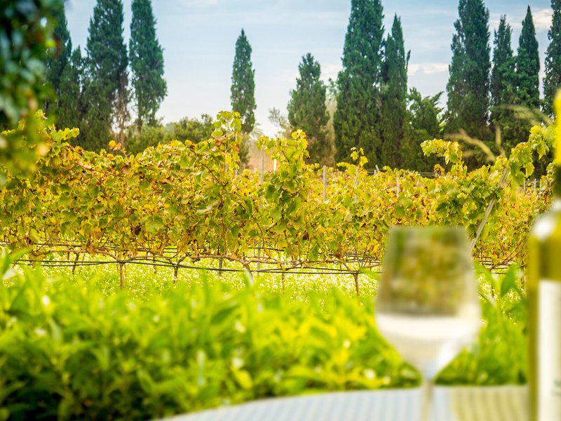 525839EC636BFB44D1C3ABA3EACACC8C