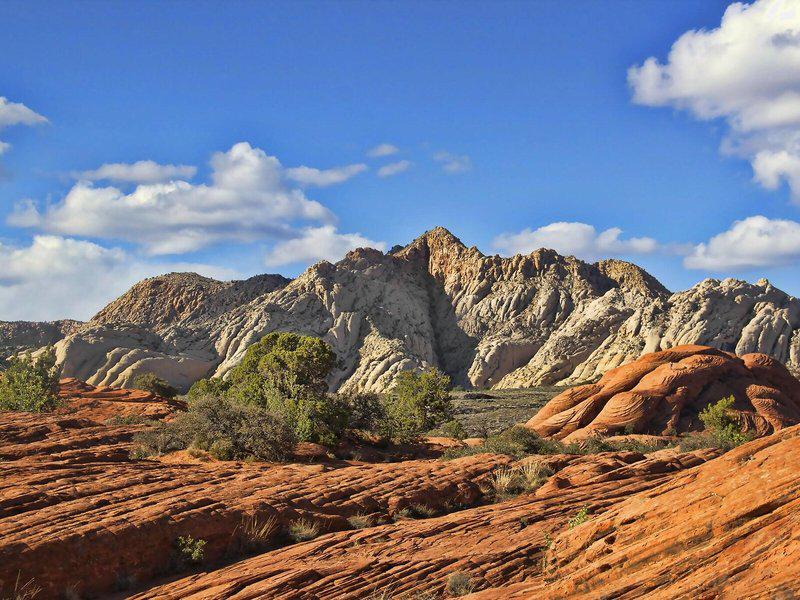 8872F948507D6F44DD5C38755BA0D9BC