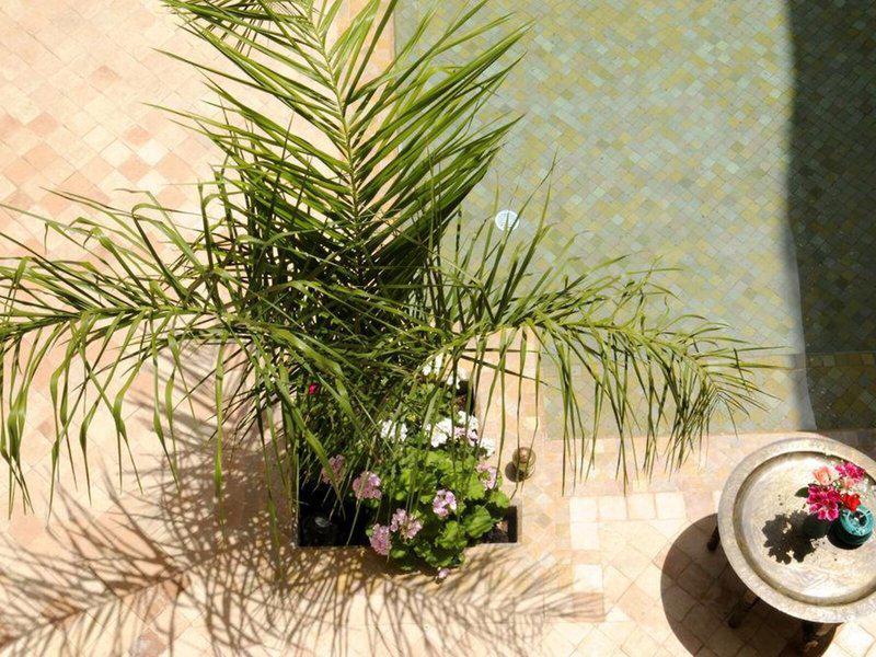 24C9BE0743703E15655D589B0646292C