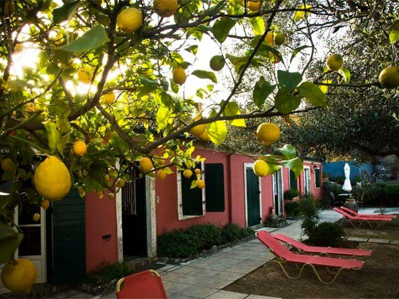 4498F6B51F8A742CE6B553B7828C79DC