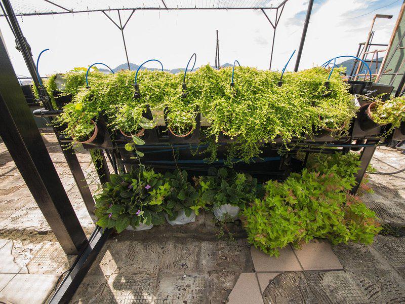 22F0B74A25D1F794A811007ABE0DD79E