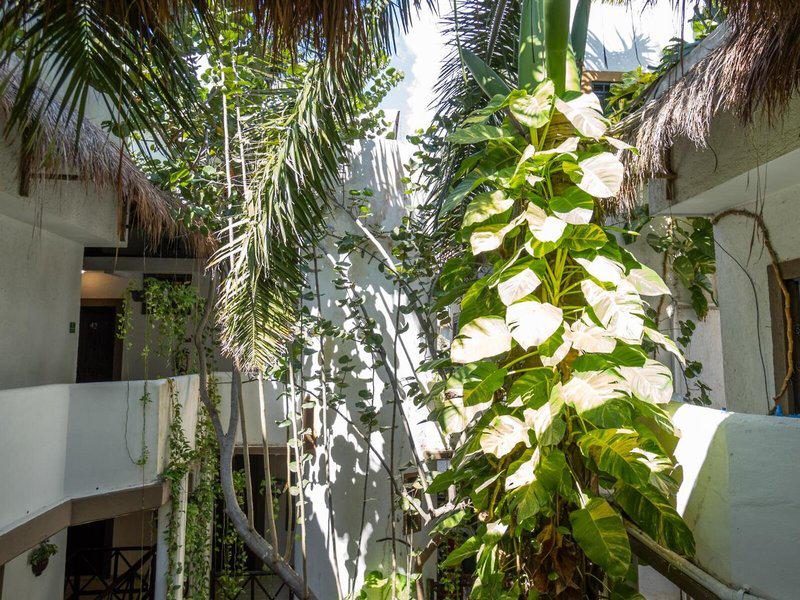 2BCB2DCA43A6543E4226F894AEC57DDC