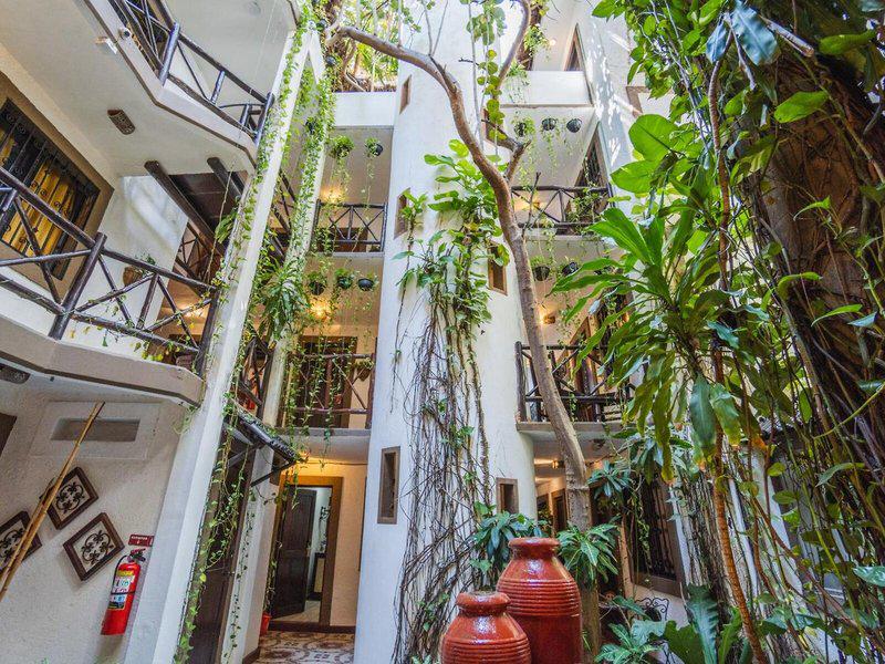 FA065CCD3533AFE7955C77D4FE38A2F1