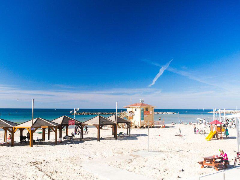 8AB0D6832CF3F8BB4AA3F0F2D41301BD