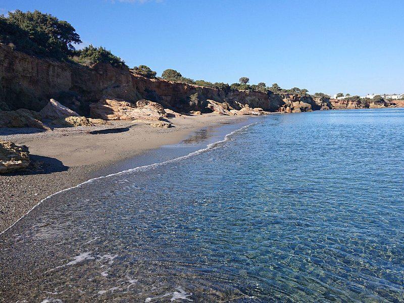 4F25565B9E1CCEC163FCF62E4780EE99