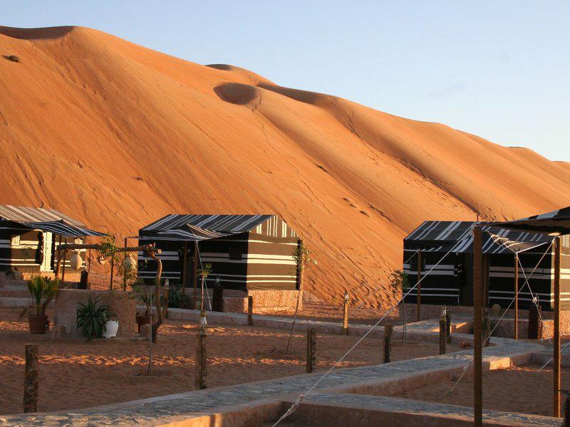 87072C987CF84A030A59A2224EEF6F42