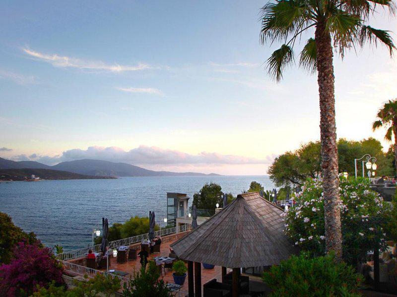 61902FA057A42009FAE6CA3D01818169