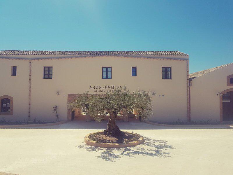 92DA312CA7A0DAAD5A424BC3EE7E3560