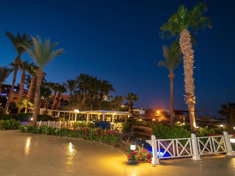 223D79D7EF5CC922B97E11BADF8E6BE5