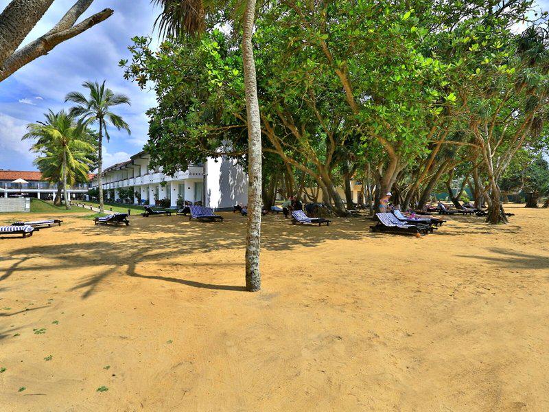 8C3D0D5A69F97FBFE5E466A44C70E238