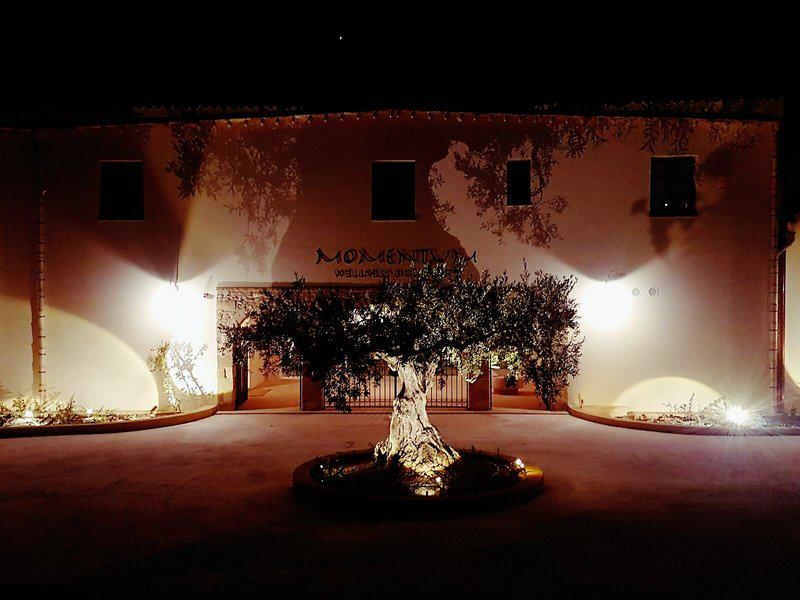 DC844EBD4E9C5FA70EC0907AEB13E0F3